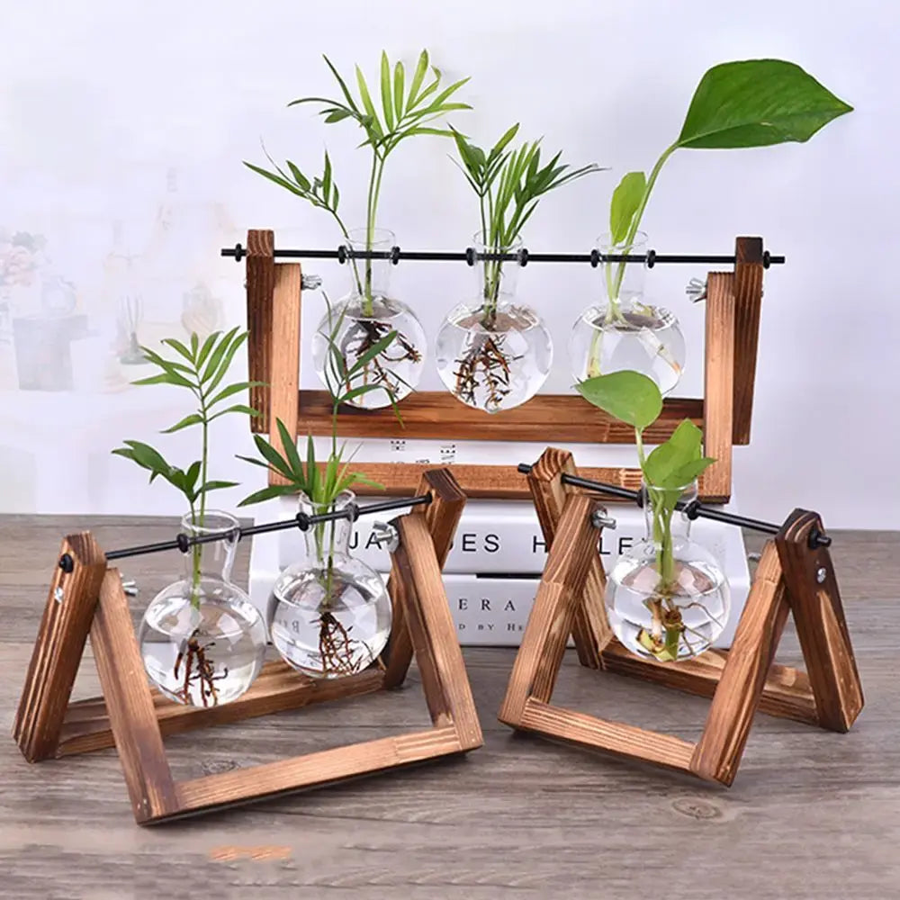 Hydroponic Plant Vases Glass