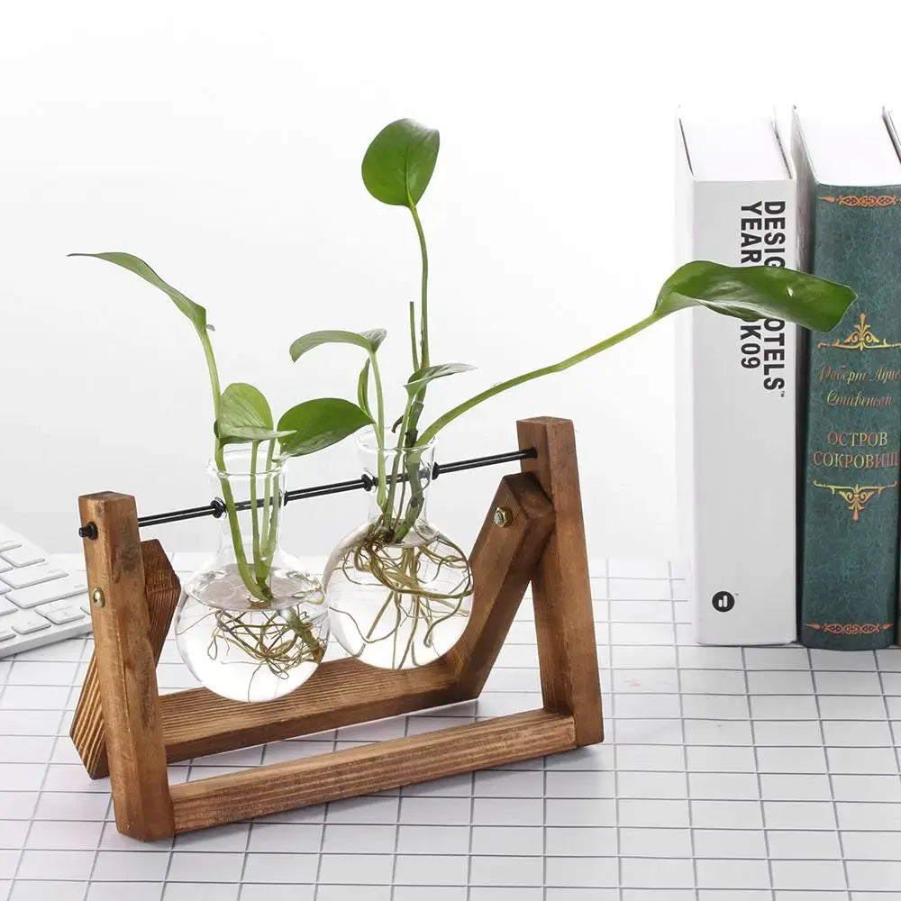 Hydroponic Plant Vases Glass