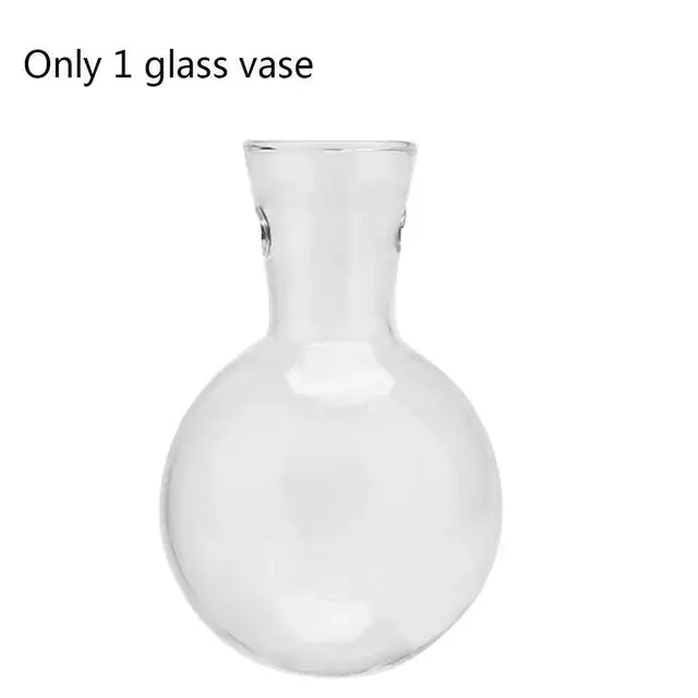 Hydroponic Plant Vases Glass